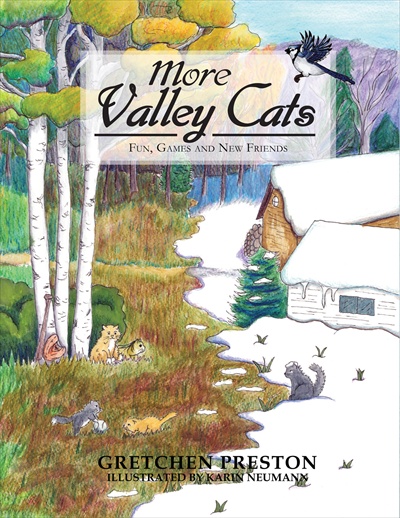 More Valley Cats: Fun, Games and New Friends